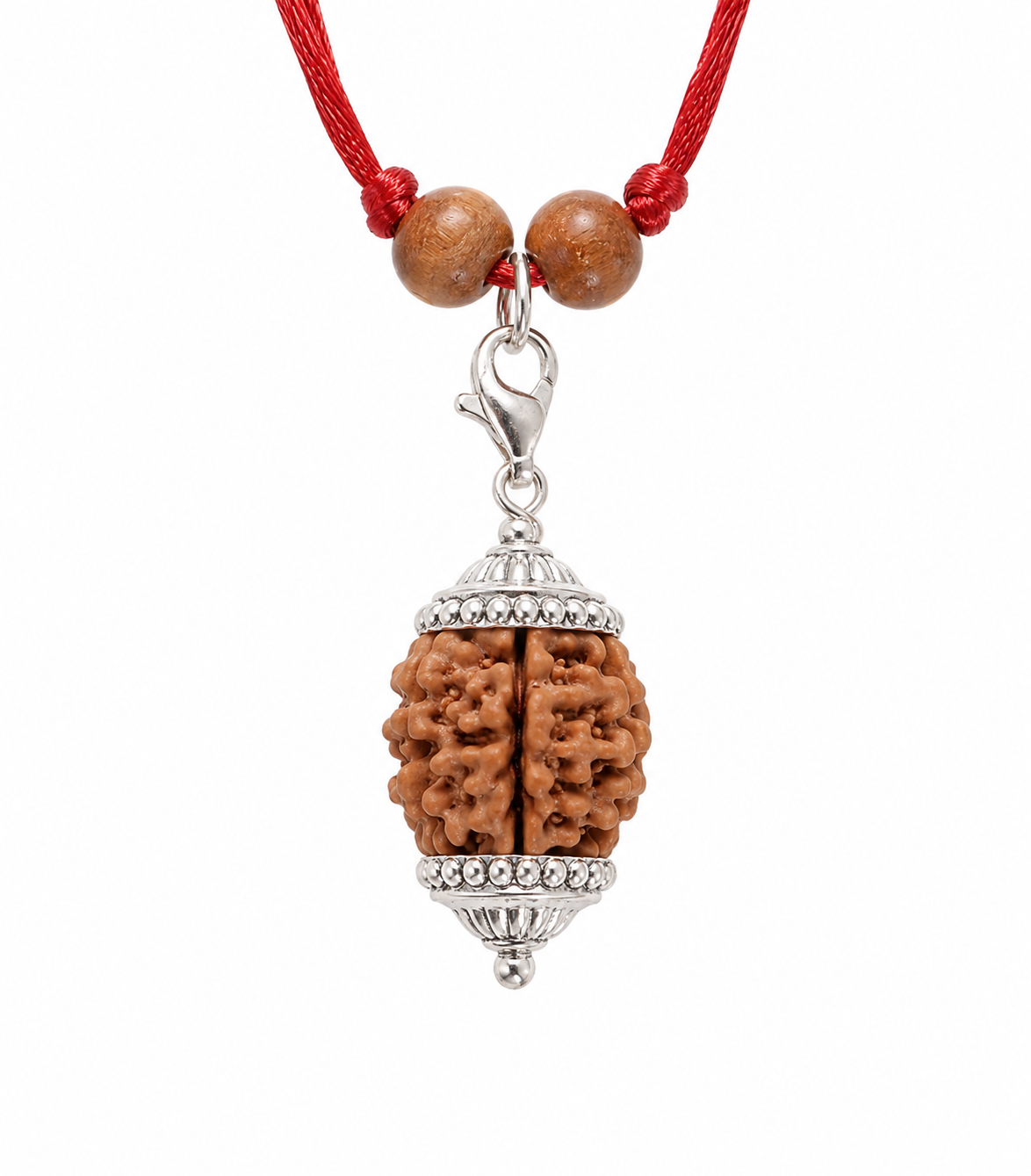 2 Mukhi Nepali Rudraksha