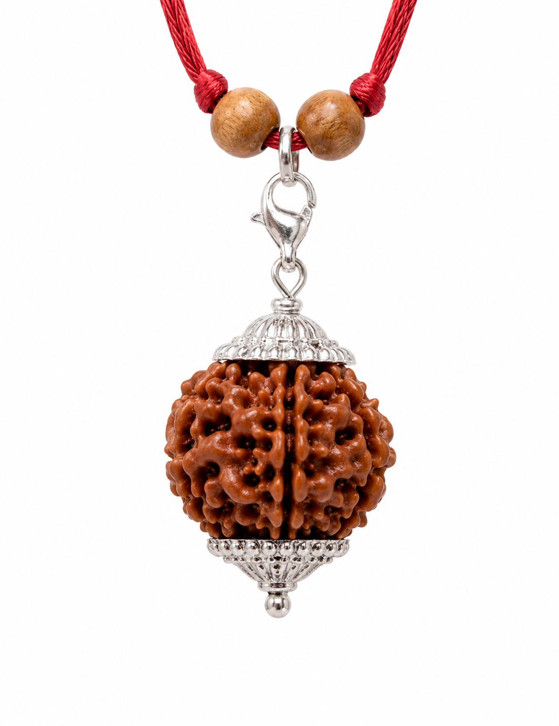 6 Mukhi Nepali Rudraksha