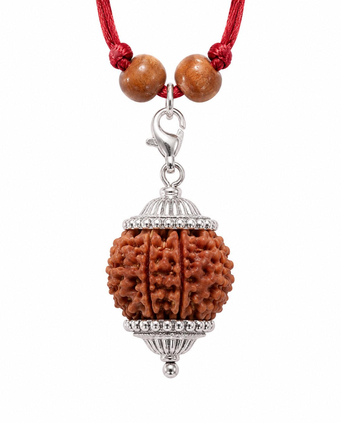 7 Mukhi Nepali Rudraksha