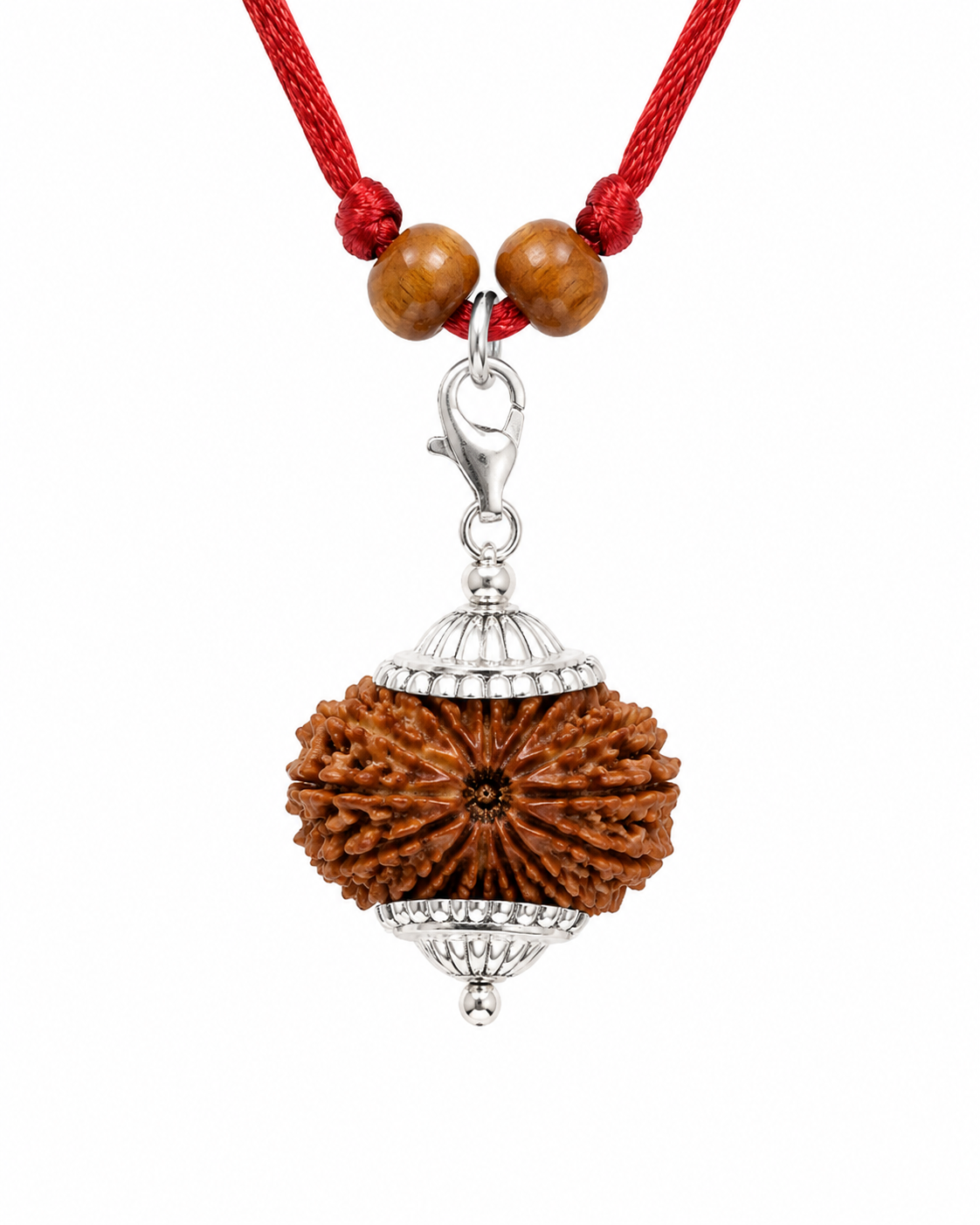 16 Mukhi Nepali Rudraksha